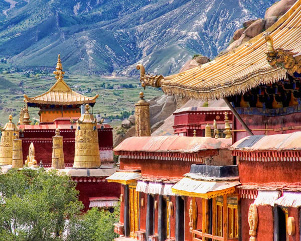 Norbulingka og Sera Monastery (F, L, M)