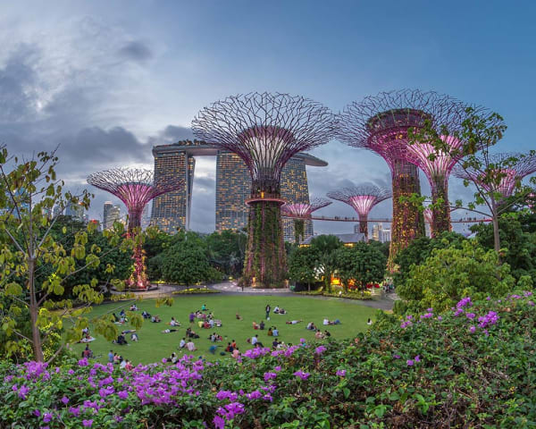 Singapore (F, L, M)