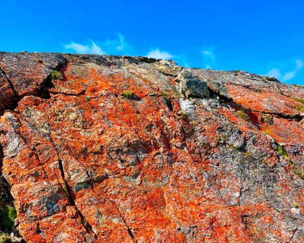 Fra plantefossiler til kromgruver: Feragen�Gauld�lsvollen (F, ML, M)