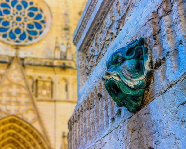 Sightseeing i Lyon (F)
