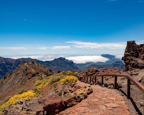 Vandring Pico de La Cruz - Roque Muchachos (F, M)