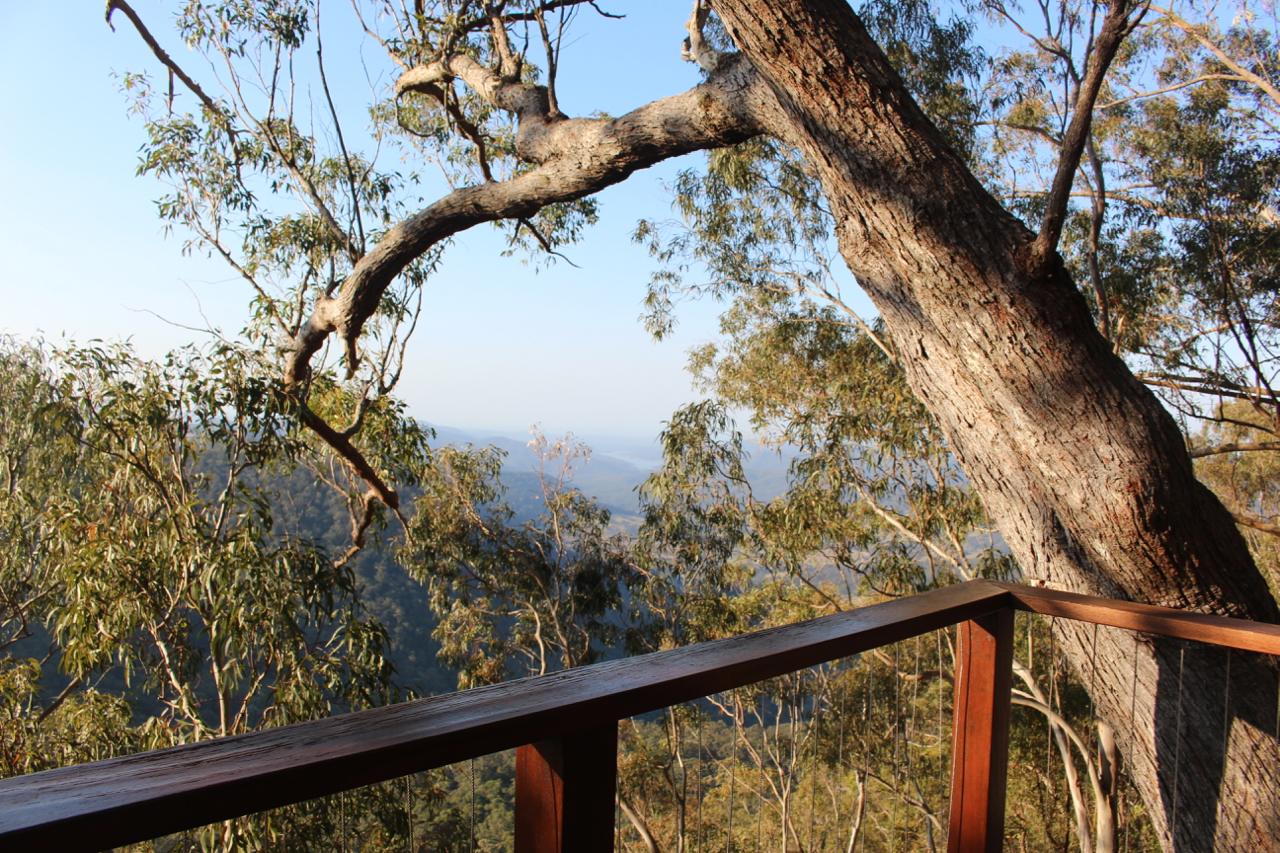 Quick Guide to Binna Burra