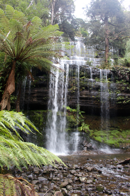 Russell Falls Mount Field National Park- Tasmania