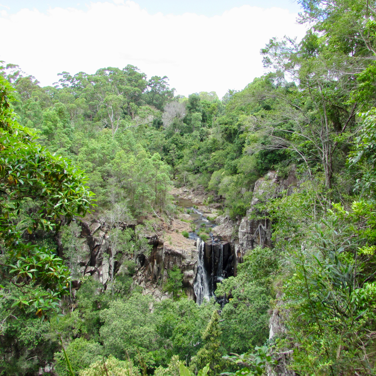 Lip Falls Beechmont