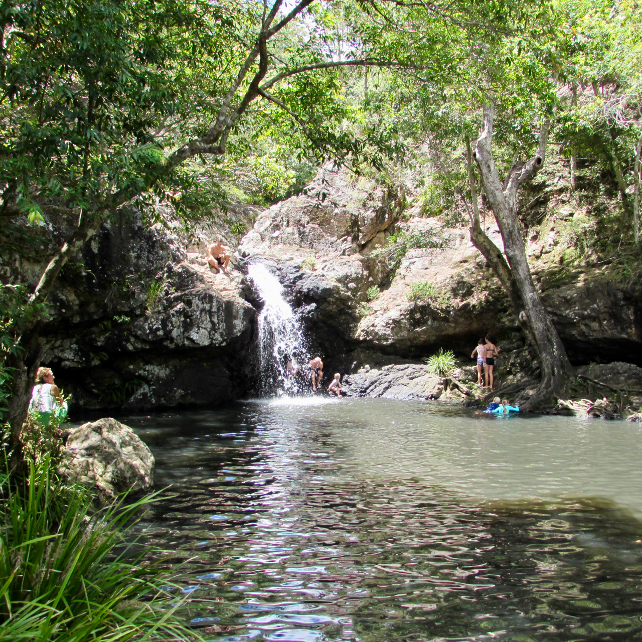 Kondalilla Falls