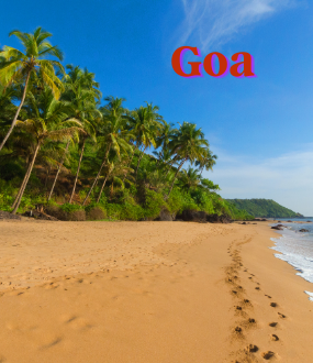 Go City Adventures - Short Break Adventures