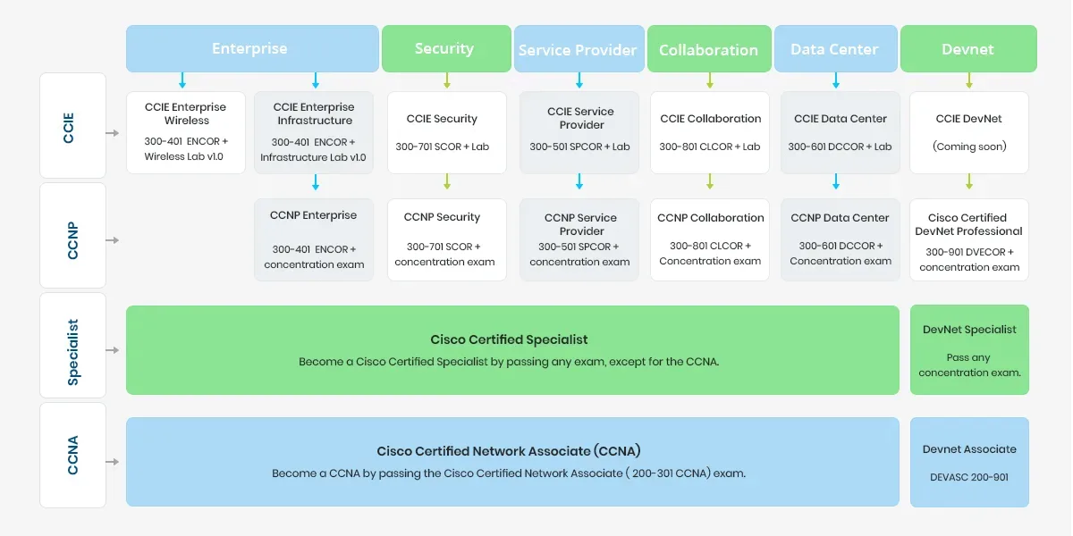 ccna certification path
