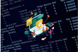 Web Server Hacking and Network Pentesting Course 