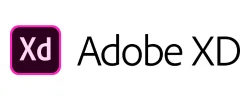 Adobe XD training