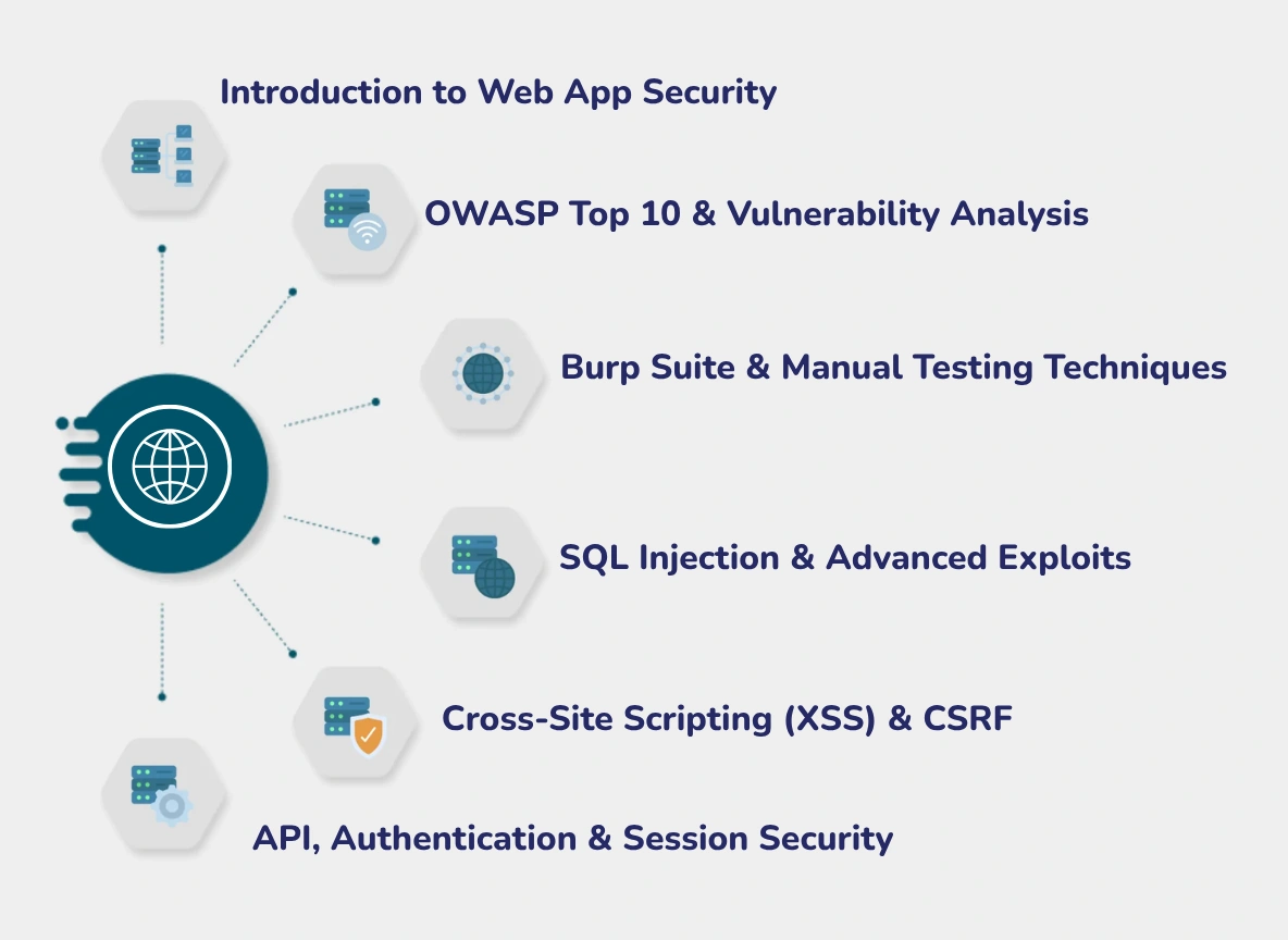 web application hacking & bug bounty training
