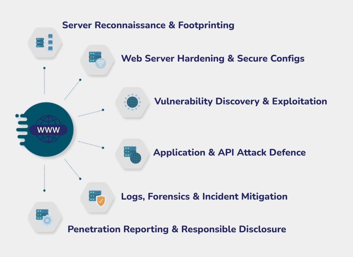web server hacking & network pentesting training