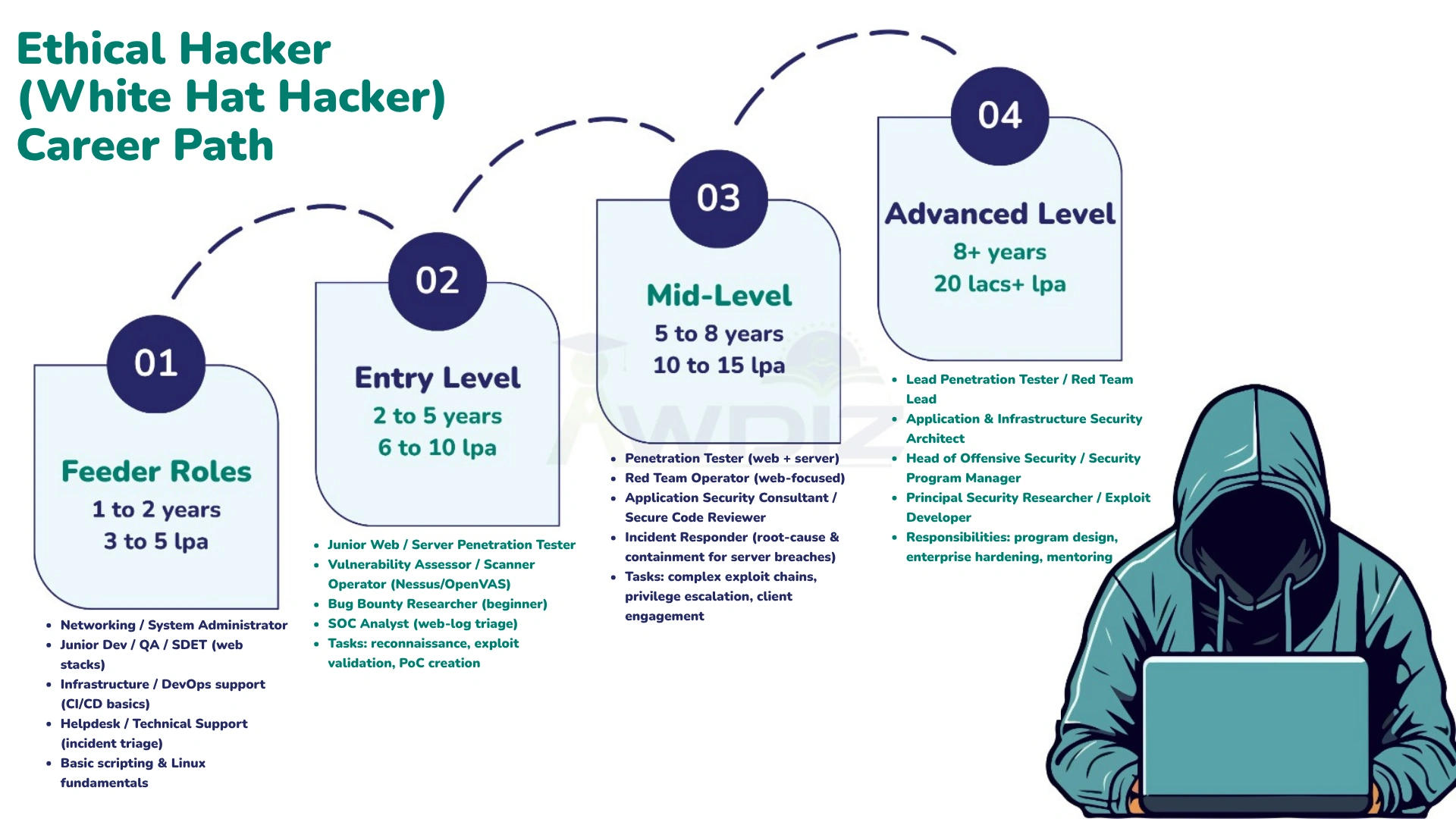 Web Server Hacking Career path