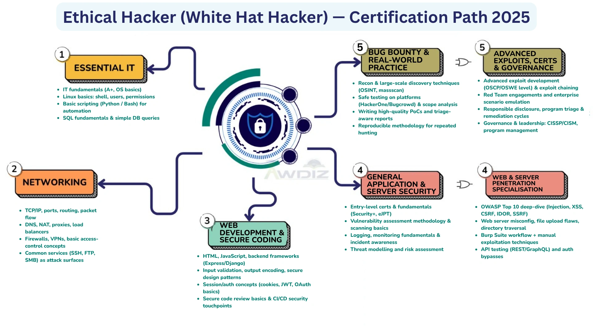web server hacking & network pentesting certification path 2025