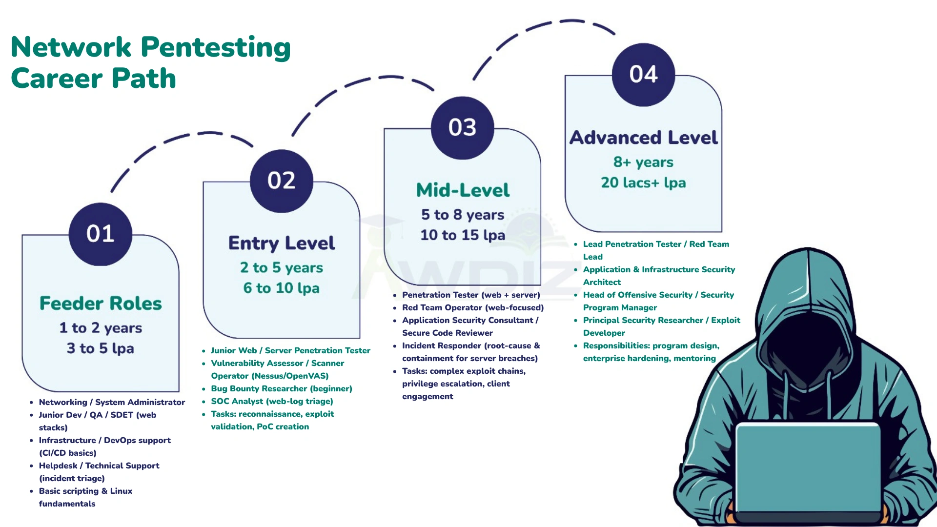 Network Pentesting Career path