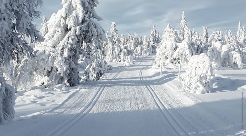 Langrenn - tips om bekledning 