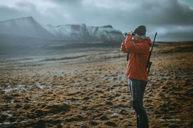 Sponsing og samarbeid