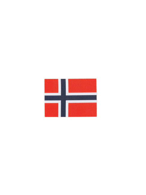 Patch Norwegian Flag