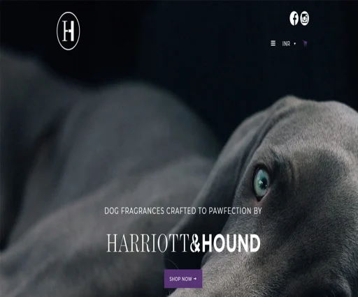 Pets Fragrances Online E commerce store design 4