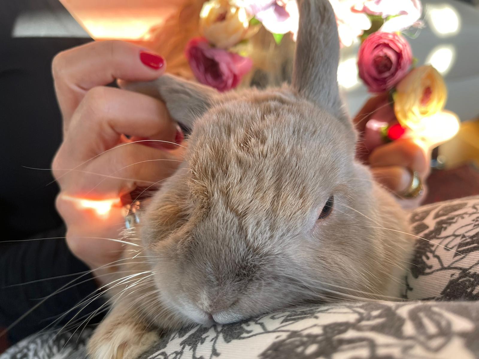 Ako sa aj Veľká noc dá robiť v medzinárodnom štýle.