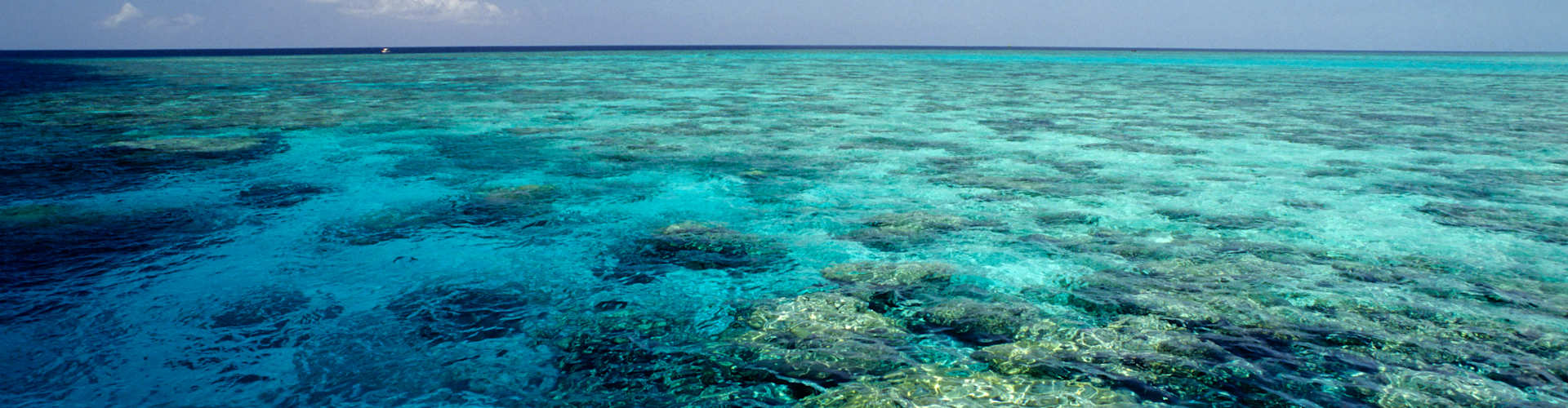 Ultimate Guide To Cruising Australasia