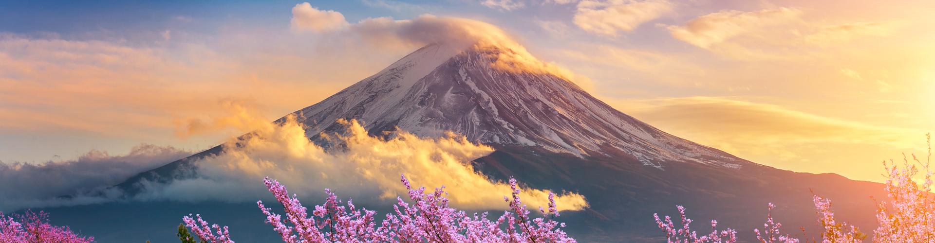 Nature At its Best: Ultimate Guide to Japan's Cherry Blossoms