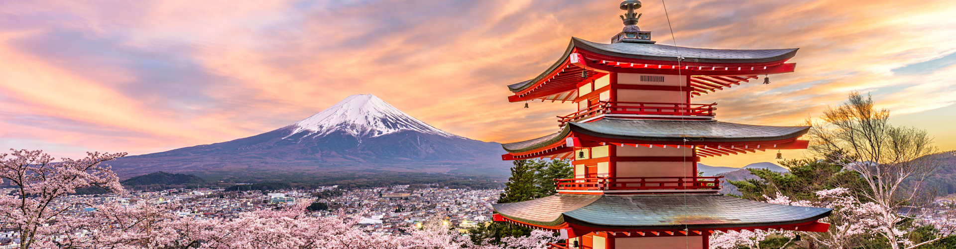 When to Cruise Japan: Spring Blossoms, Summer Hydrangeas, or Autumn Gold