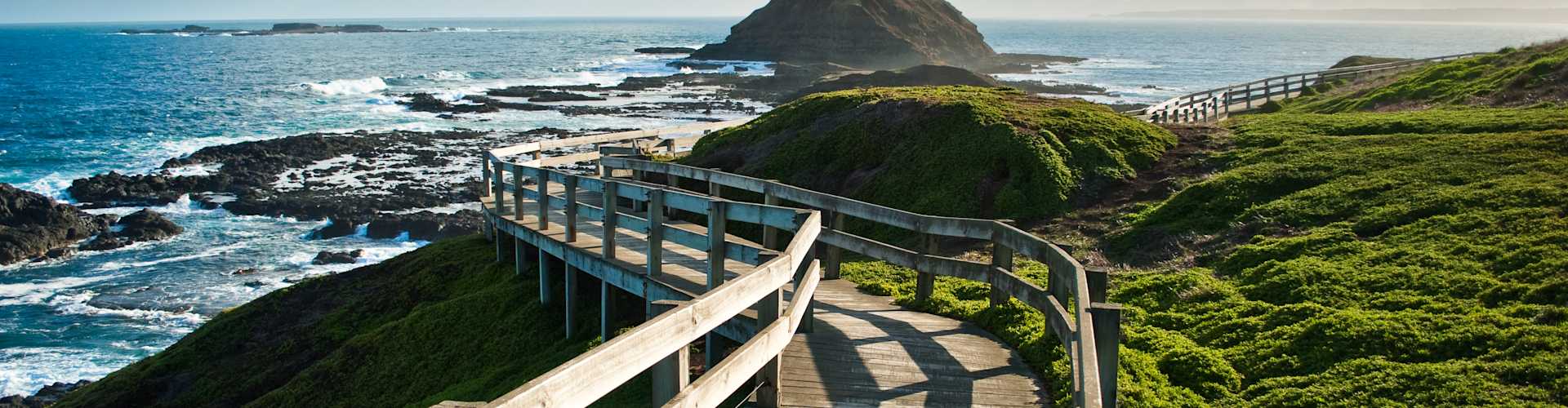 Our Top 5 Australia Shore Excursions: Bucket-List Adventures Down Under