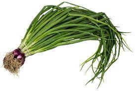 ONION LEAF