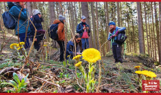 Dolny Śląsk - Krzeszów, Chełmsko Śląskie i rezerwat Głazy Krasnoludów