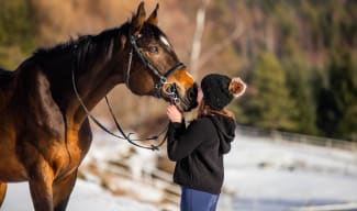 Ferie w Siodle - Profil Podstawowy