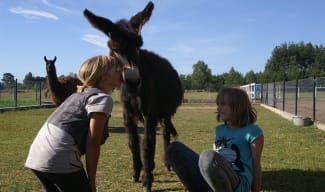 Kidsville Camp - kameralny obóz dla dzieci na Warmii