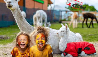 1-day school trip to Mini ZOO Animal World Zabrze with workshops included in the price.