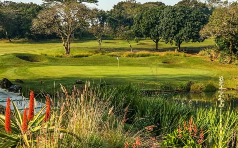 SELBORNE GOLF ESTATE - 2 Ball deal Including shared Cart for only R879,99!