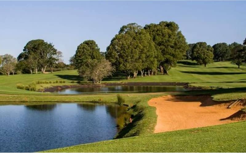 Shop Local in Play Golf | Flook