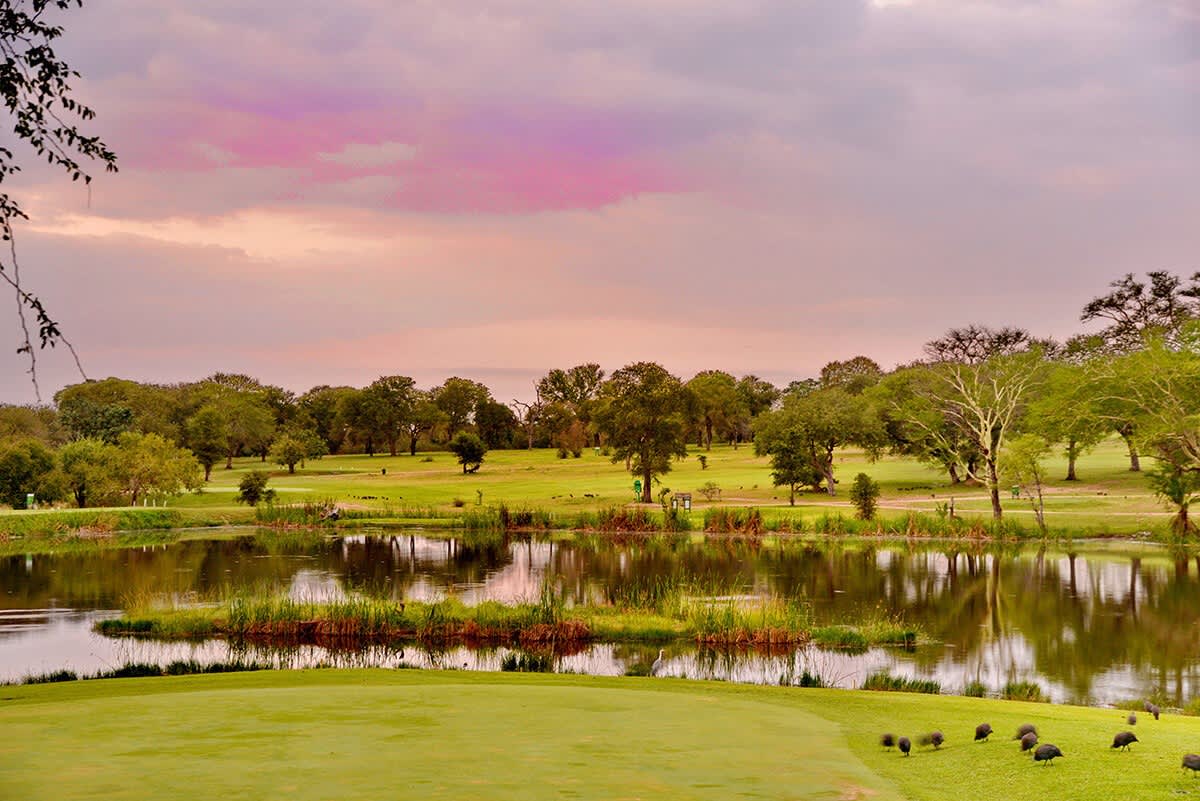 SKUKUZA GOLF CLUB: 4-Ball + Carts SPECIAL only R2 499!