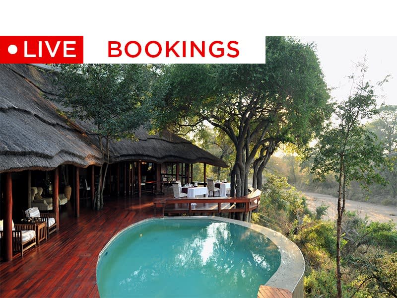 safari bookings kruger