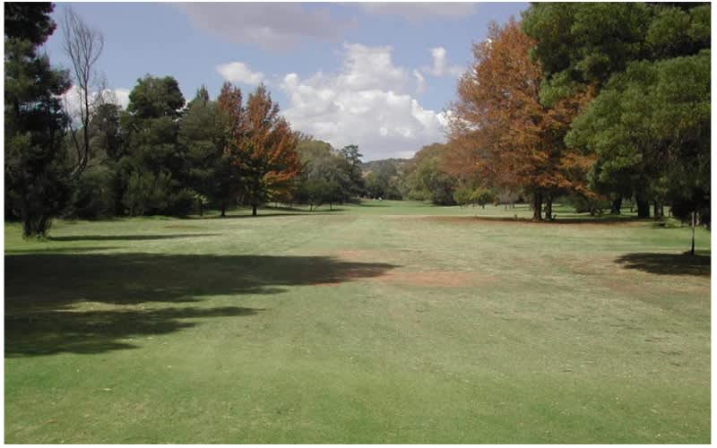 Goldfields West Golf Club - 4 Ball & Carts Deal 