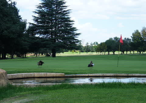 KEMPTON PARK GOLF CLUB: 2 Ball Deal for only R319,99!