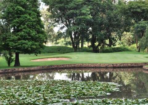 ERPM GOLF CLUB: 4 Ball deal for only R799.99