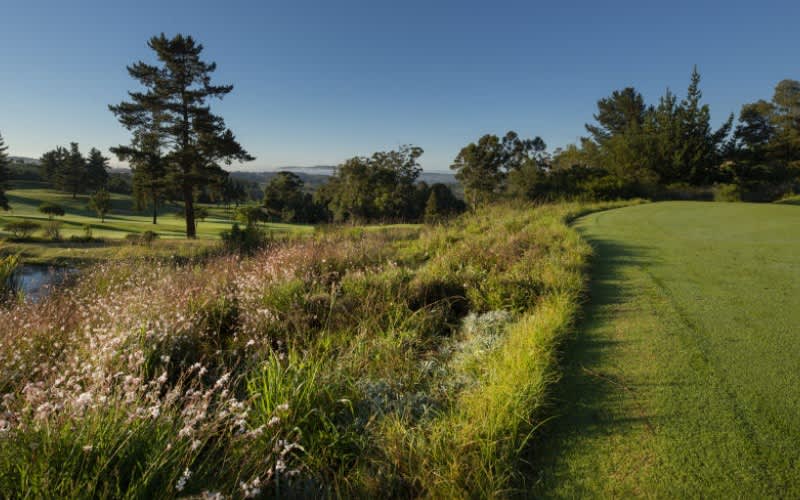 SIMOLA GOLF COURSE FLOOK SPECIAL: 4 Ball + Carts ONLY R2 669!