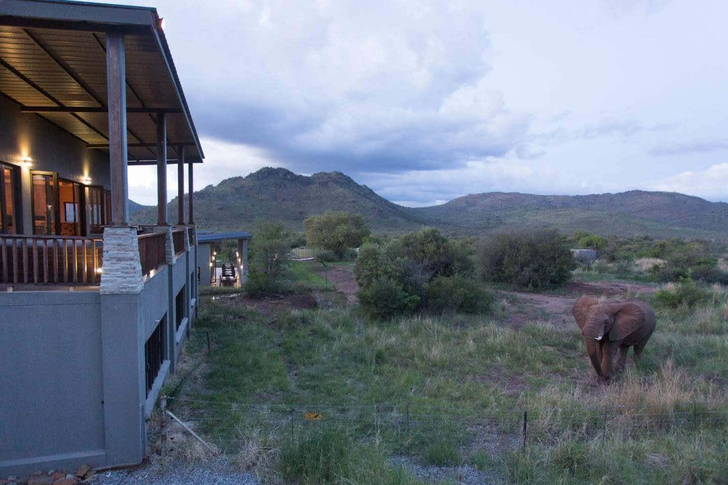 Shepherd's Tree Game Lodge, Pilanesberg: 1 Night Stay for 2 People + All Meals & 2 Game Drives Daily!