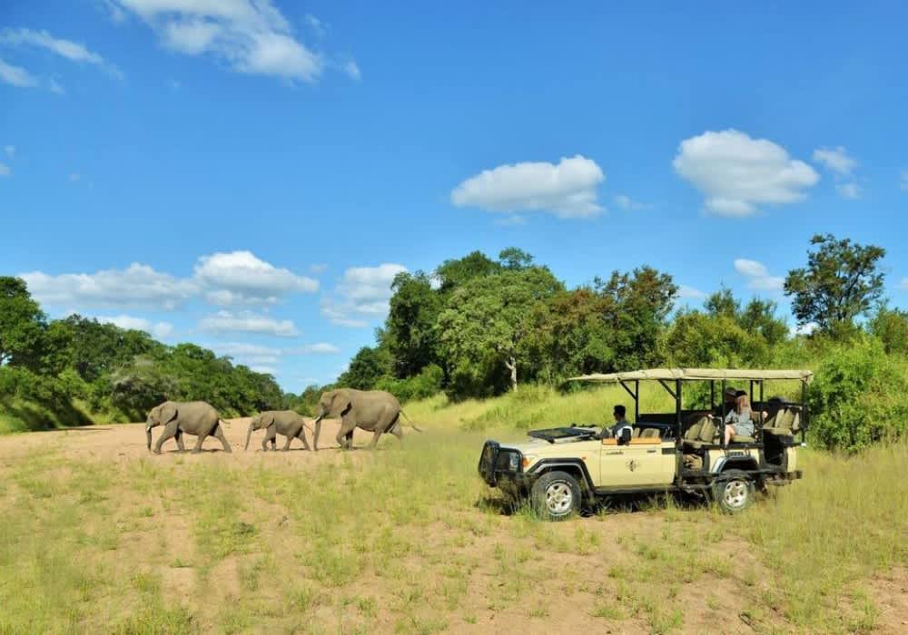 2024 SPECIAL OFFER: IMBALI Safari Lodge, Kruger National Park : 1 Night LUXURY Stay for 2 & 3 Meals + Drinks + 2 Safaris Daily!