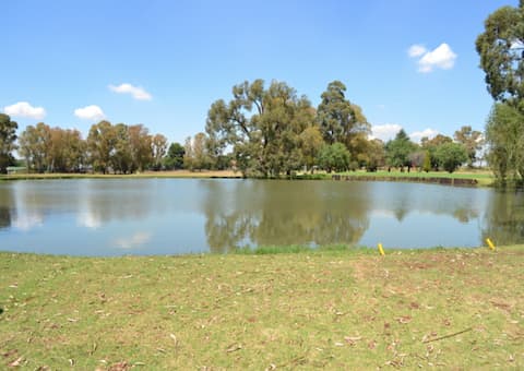 ROYAL OAK COUNTRY CLUB: 4-Ball Deal for just R699,99