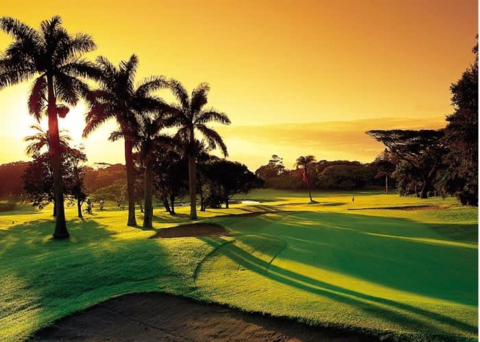 SELBORNE GOLF ESTATE - 4 Ball deal Including Carts for R1 929,99!