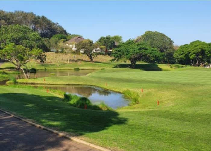 SELBORNE GOLF ESTATE - 4 Ball deal Including Carts for R1 929,99!