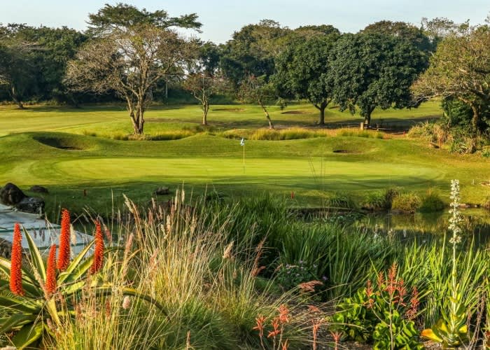 SELBORNE GOLF ESTATE - 2 Ball deal Including Carts for R979,99!