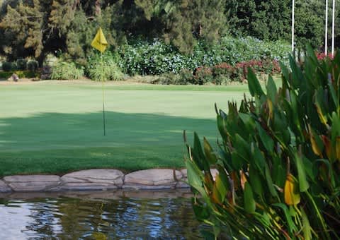 SERVICES GOLF CLUB: 4-ball Deal for only R749!