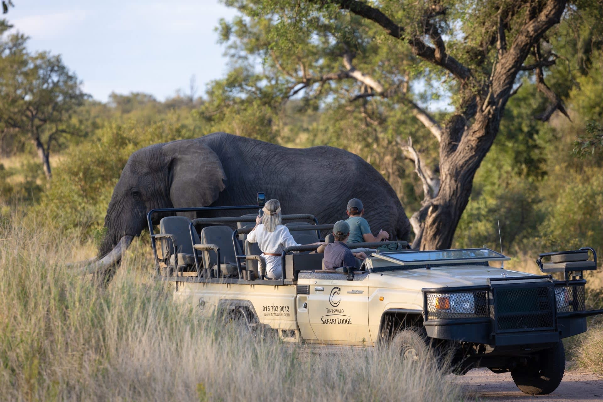 5* TINTSWALO SAFARI LODGE -Manyeleti Nature Reserve, Greater Kruger- 1 Night LUXURY Stay for 2 in a Suite + All Meals + Safari Activities + House Drinks!