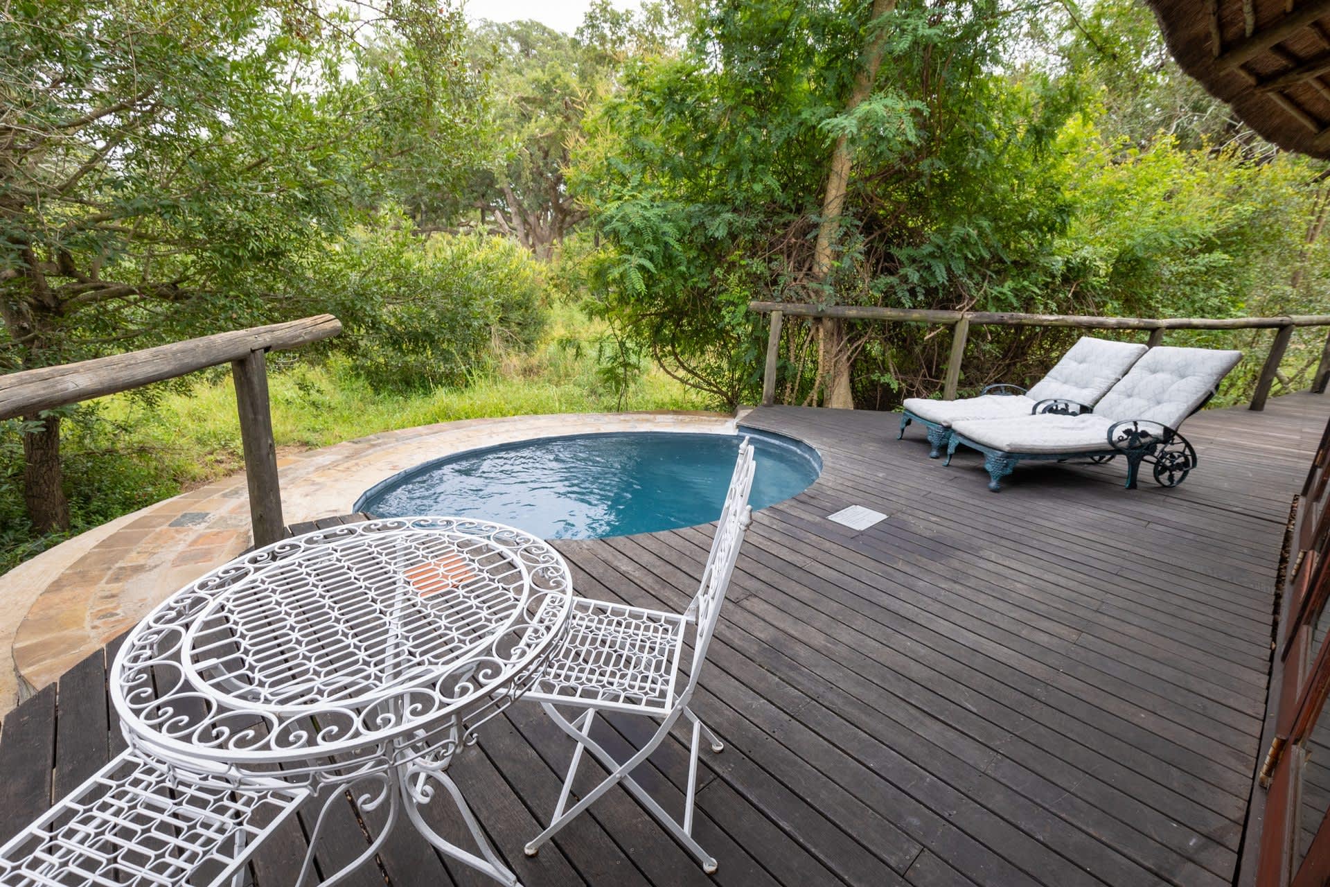 5* TINTSWALO SAFARI LODGE -Manyeleti Nature Reserve, Greater Kruger- 1 Night LUXURY Stay for 2 in a Suite + All Meals + Safari Activities + House Drinks!