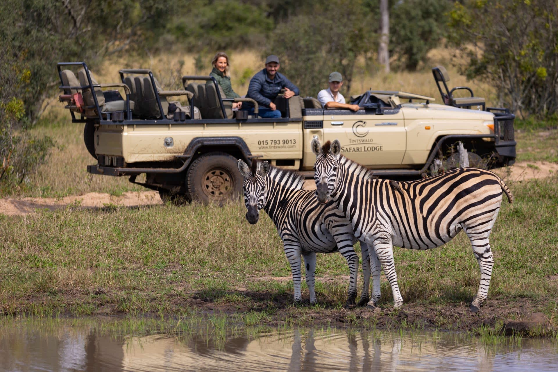 5* TINTSWALO SAFARI LODGE - Manyeleti Nature Reserve- 1 Night LUXURY Stay for 4 people + All Meals + House Drinks & 2 Private Safari Activities!